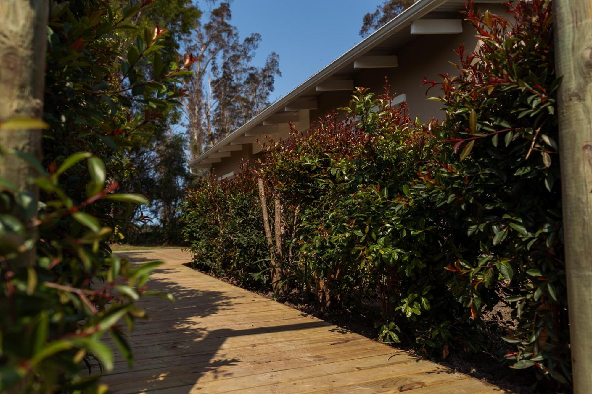 Oakhurst Farm Cottages 윌더니스 외부 사진